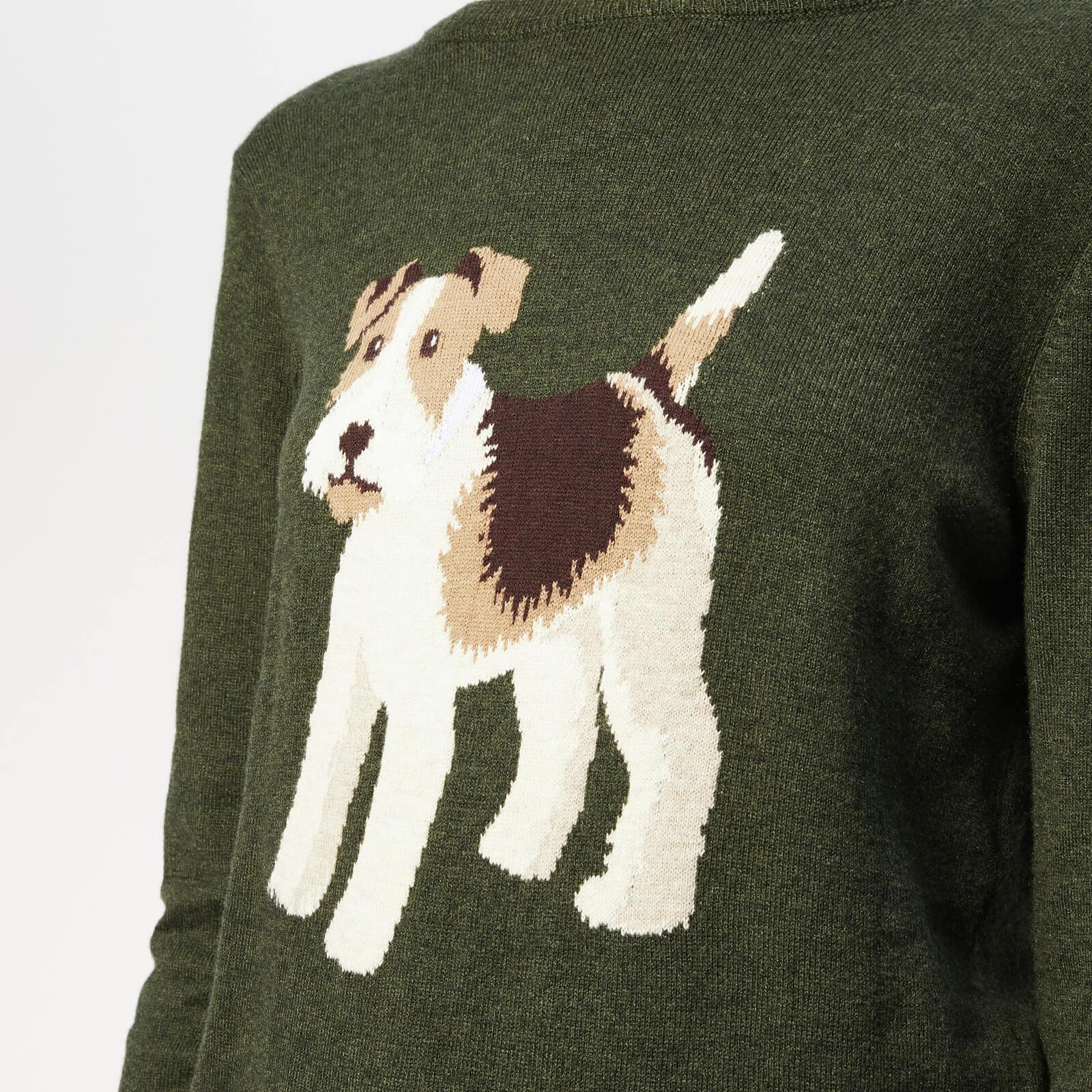 fox terrier jumper