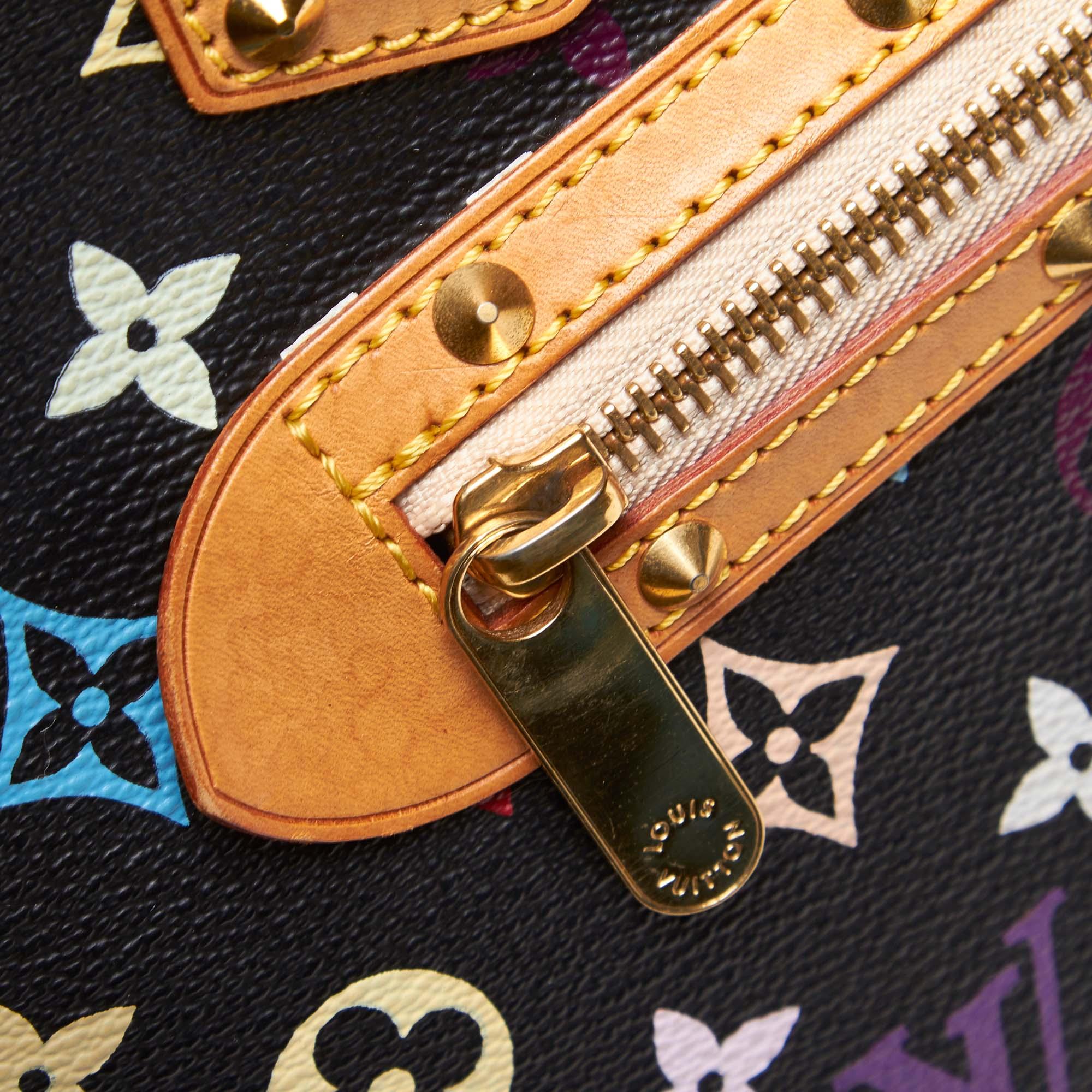 Alma Bag History Literacy Basics