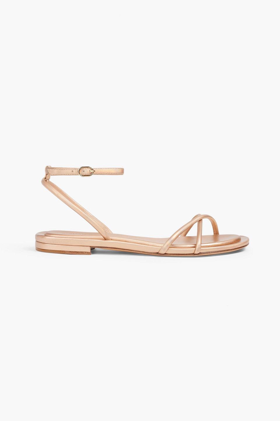 Alexandre shop birman sale
