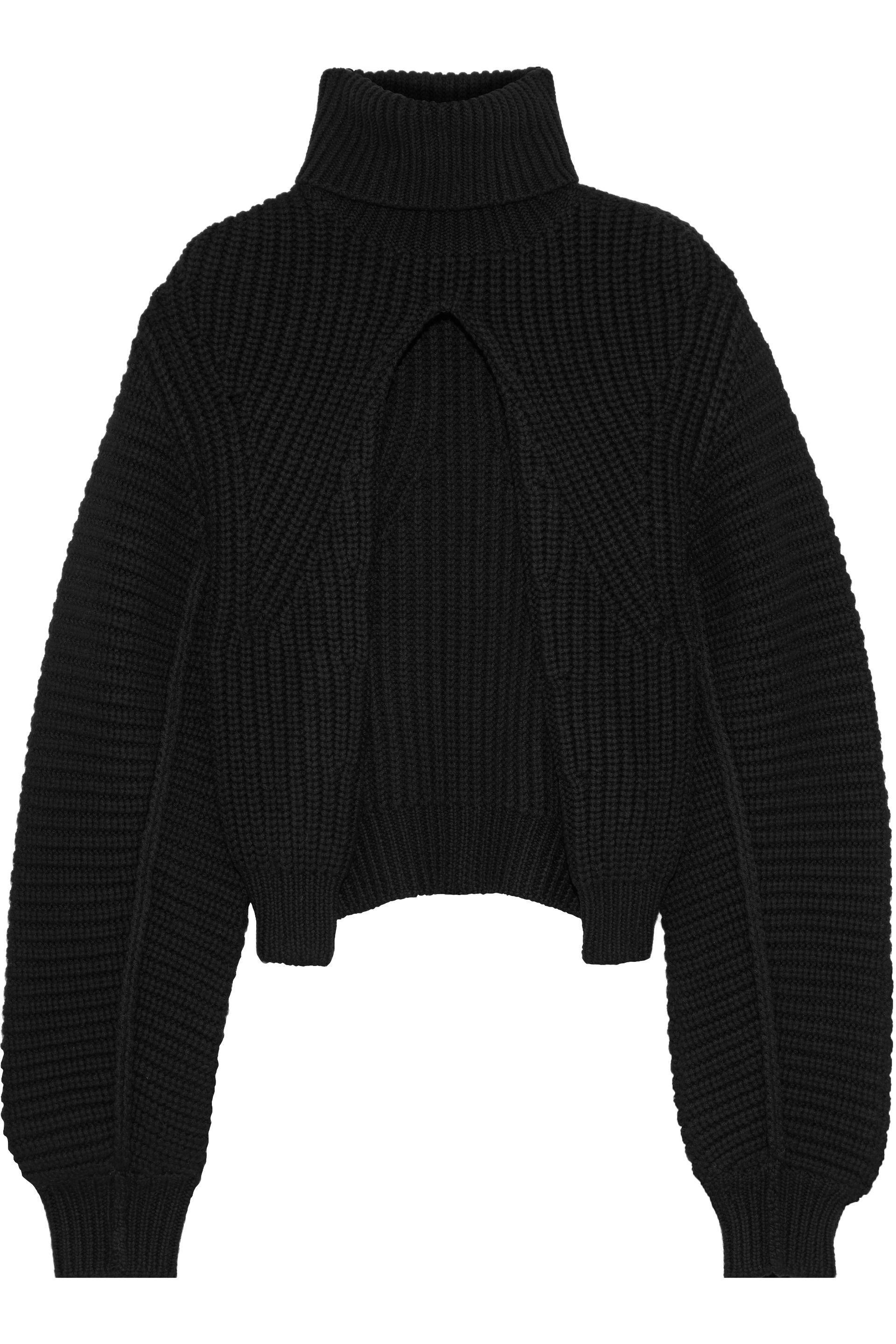 alexander wang turtleneck sweater
