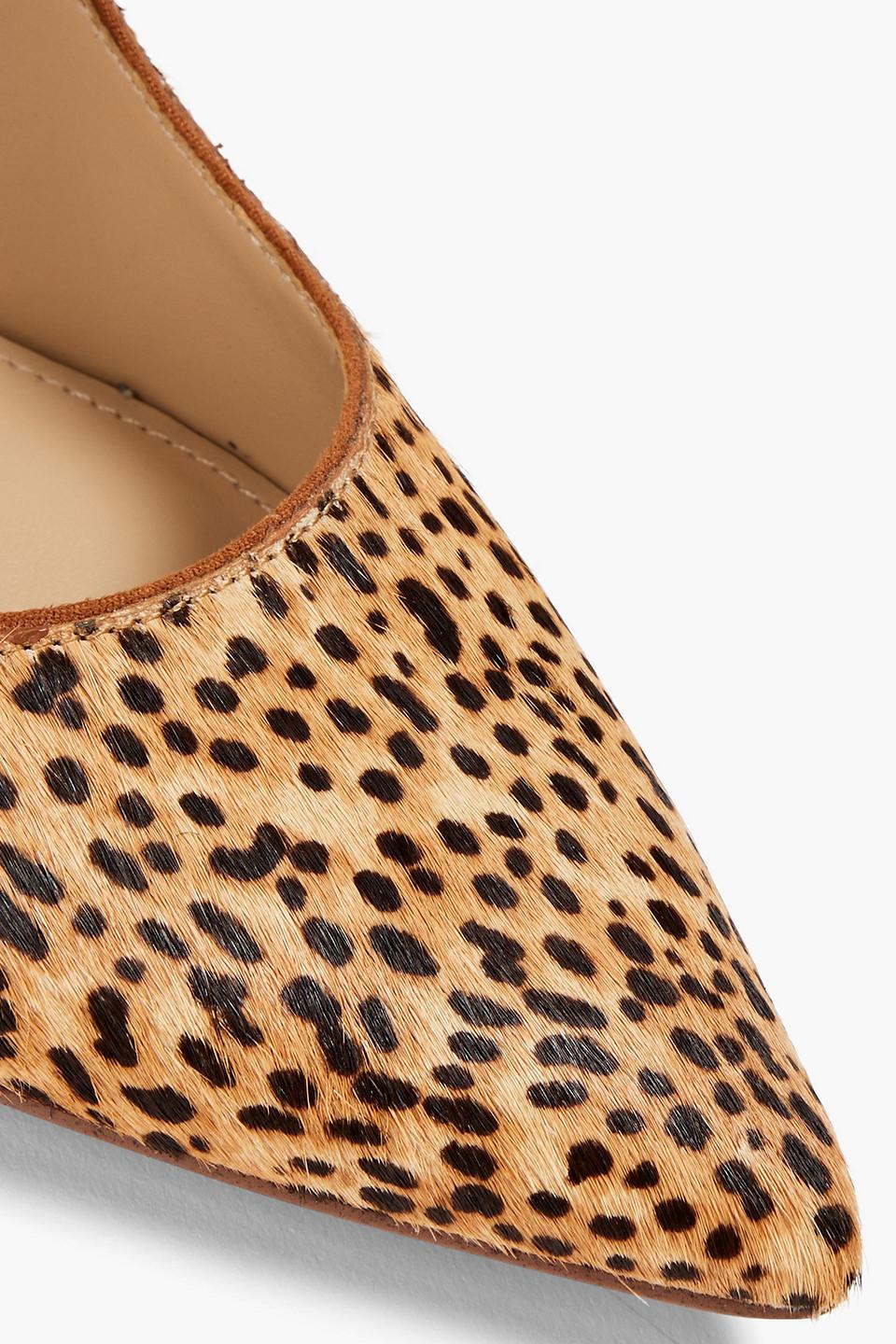 Sam edelman deals hazel leopard heels