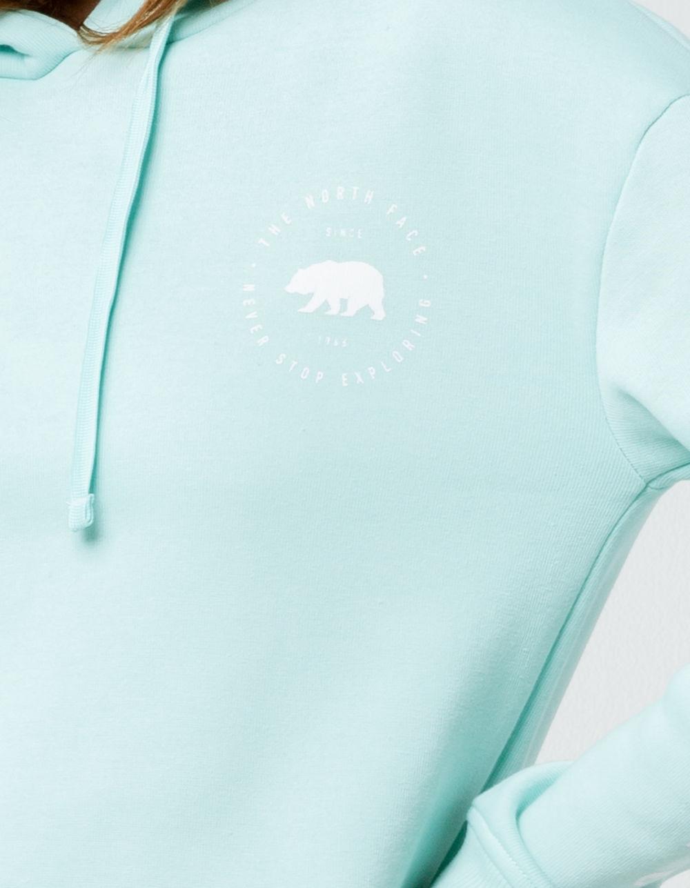 north face bearscape hoodie womens