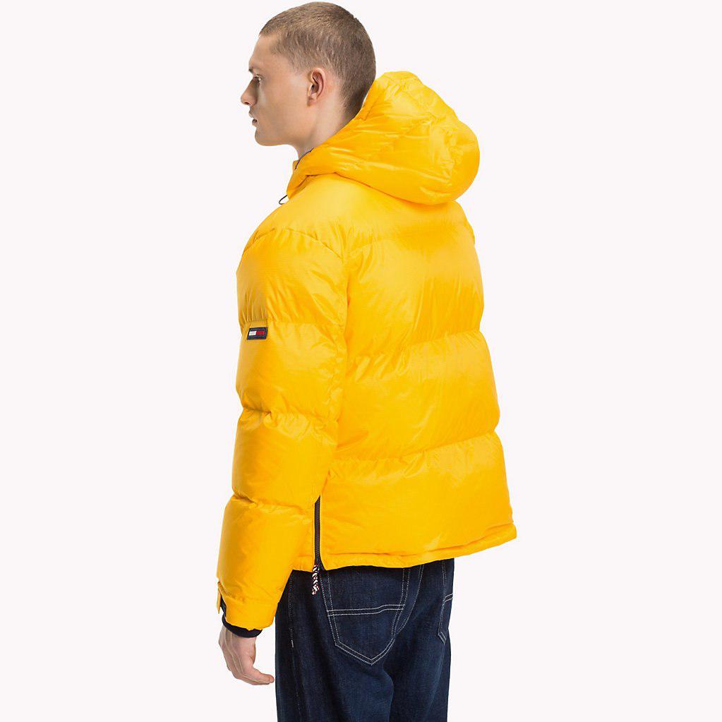 padded popover tommy hilfiger