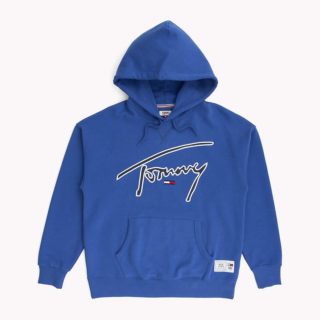 tommy hilfiger signature hoodie