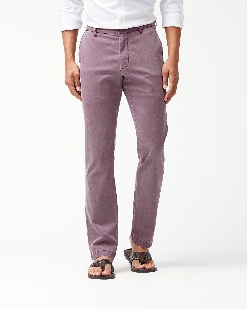 Tommy Bahama Cotton Boracay Flatfront Chino Pants in Purple for Men Lyst