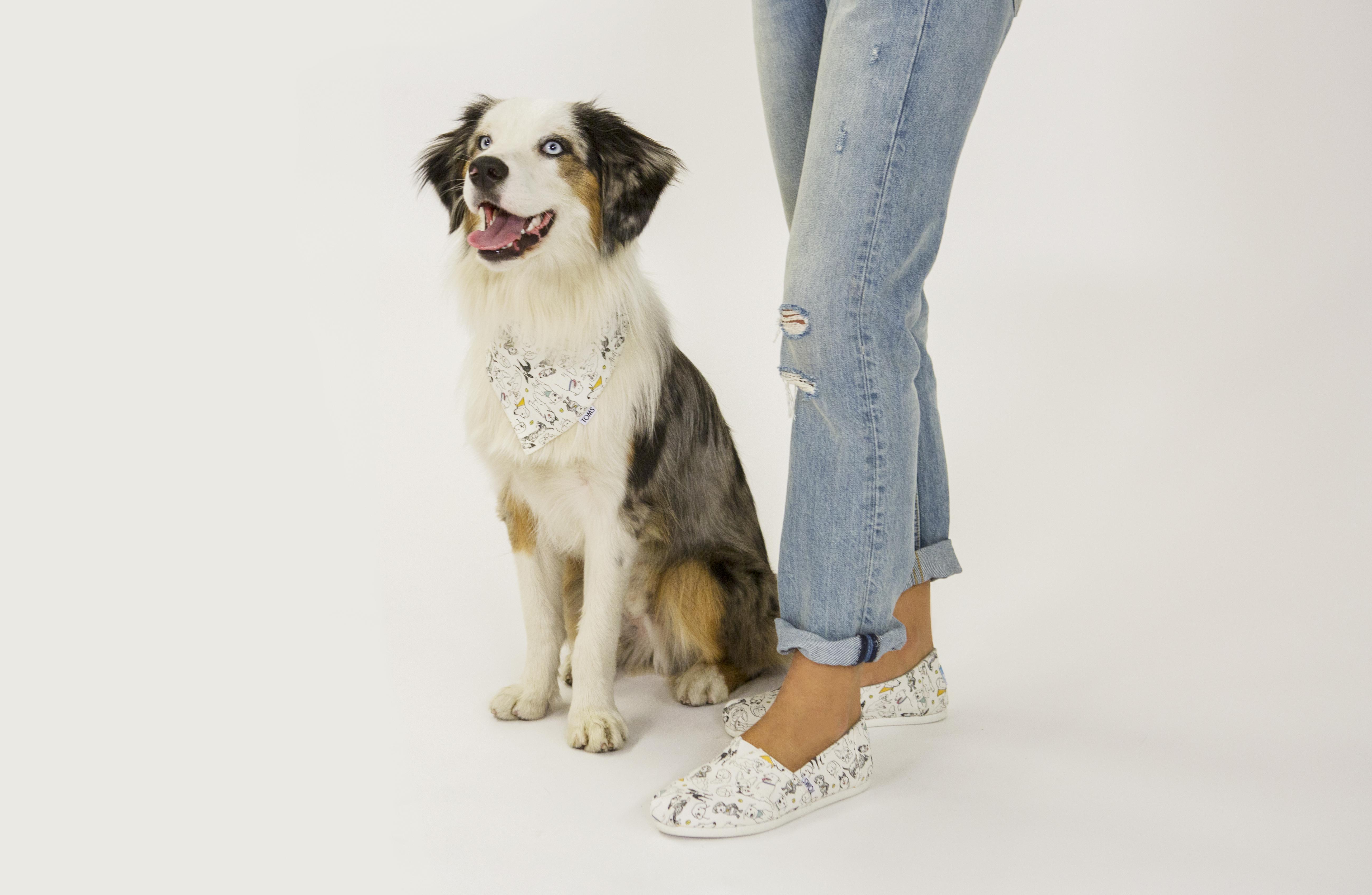 TOMS Canvas Year Of The Dog Women's Classics in Gray Lyst