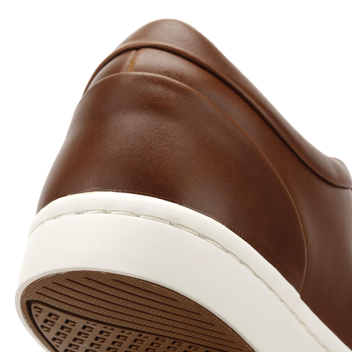 lacoste straightset brown