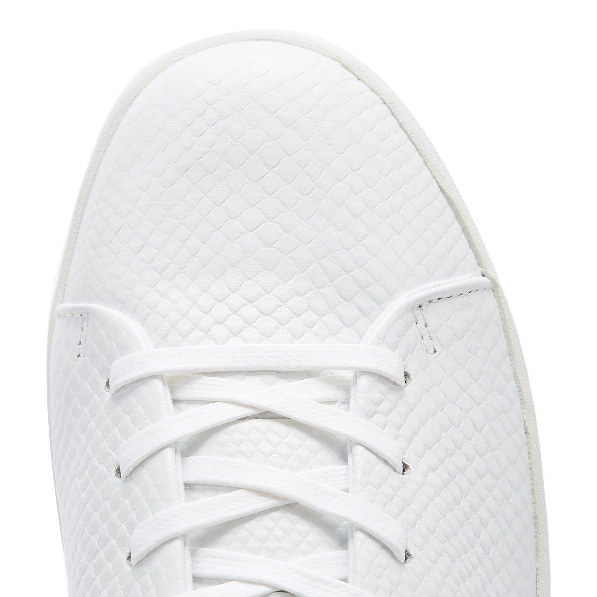 ted baker penil trainers