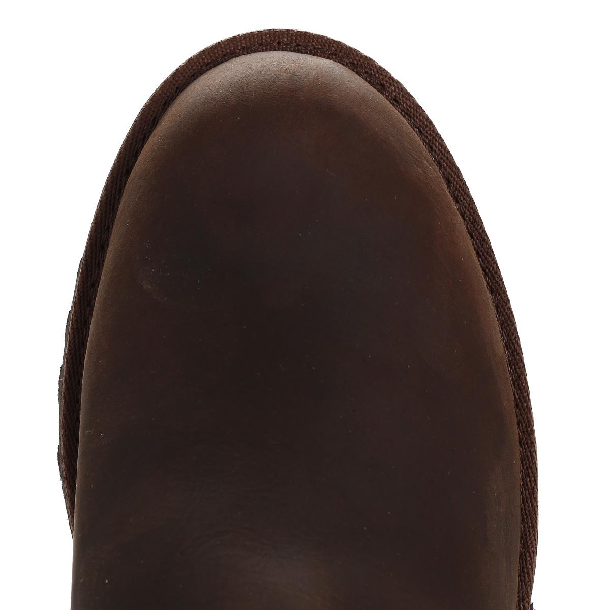 ugg maddox chestnut