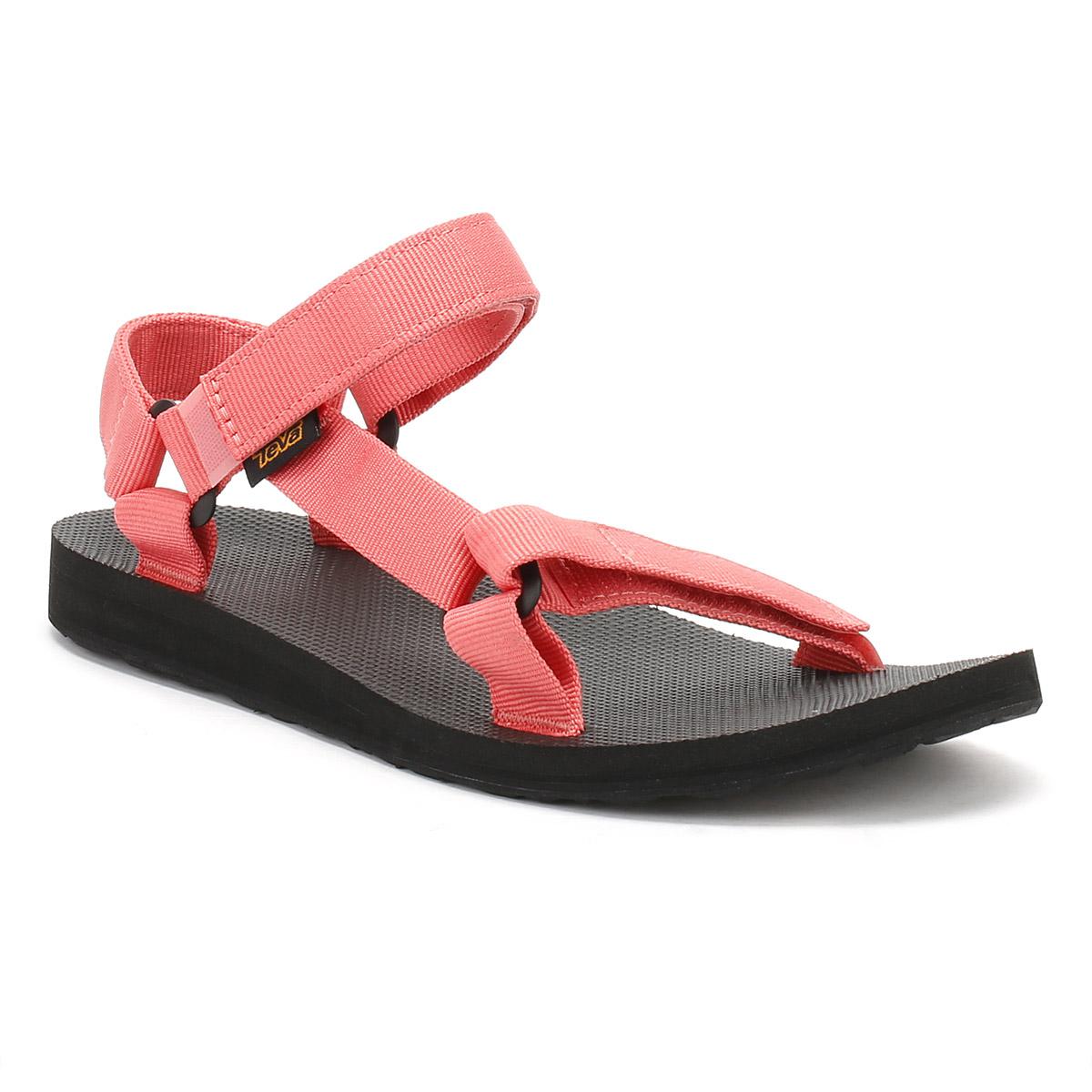 coral tevas