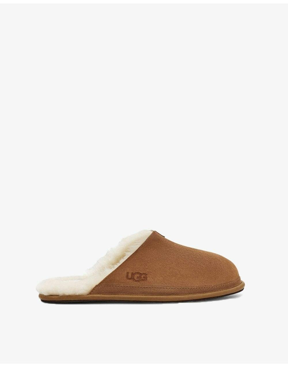 Flat uggs hotsell