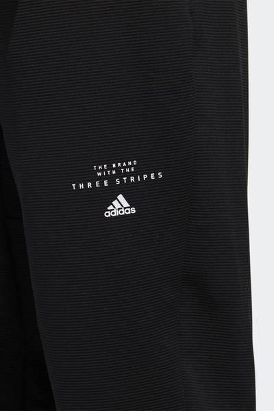 aeroready essentials stanford tracksuit bottoms