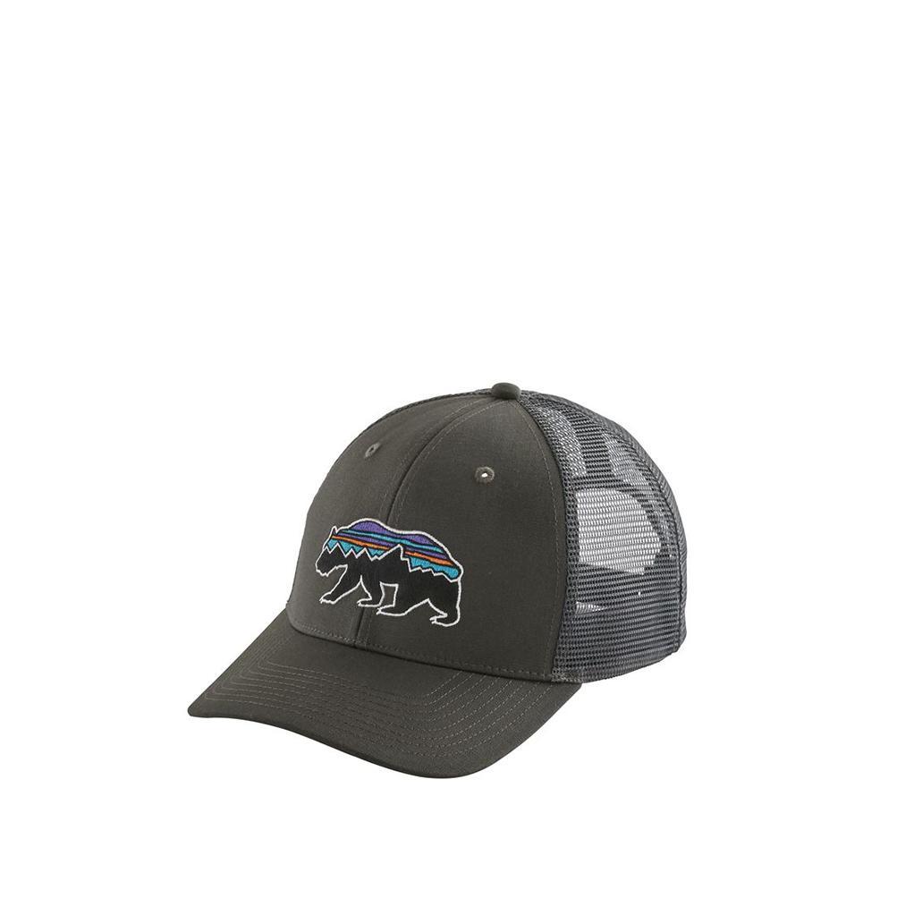 patagonia dad cap