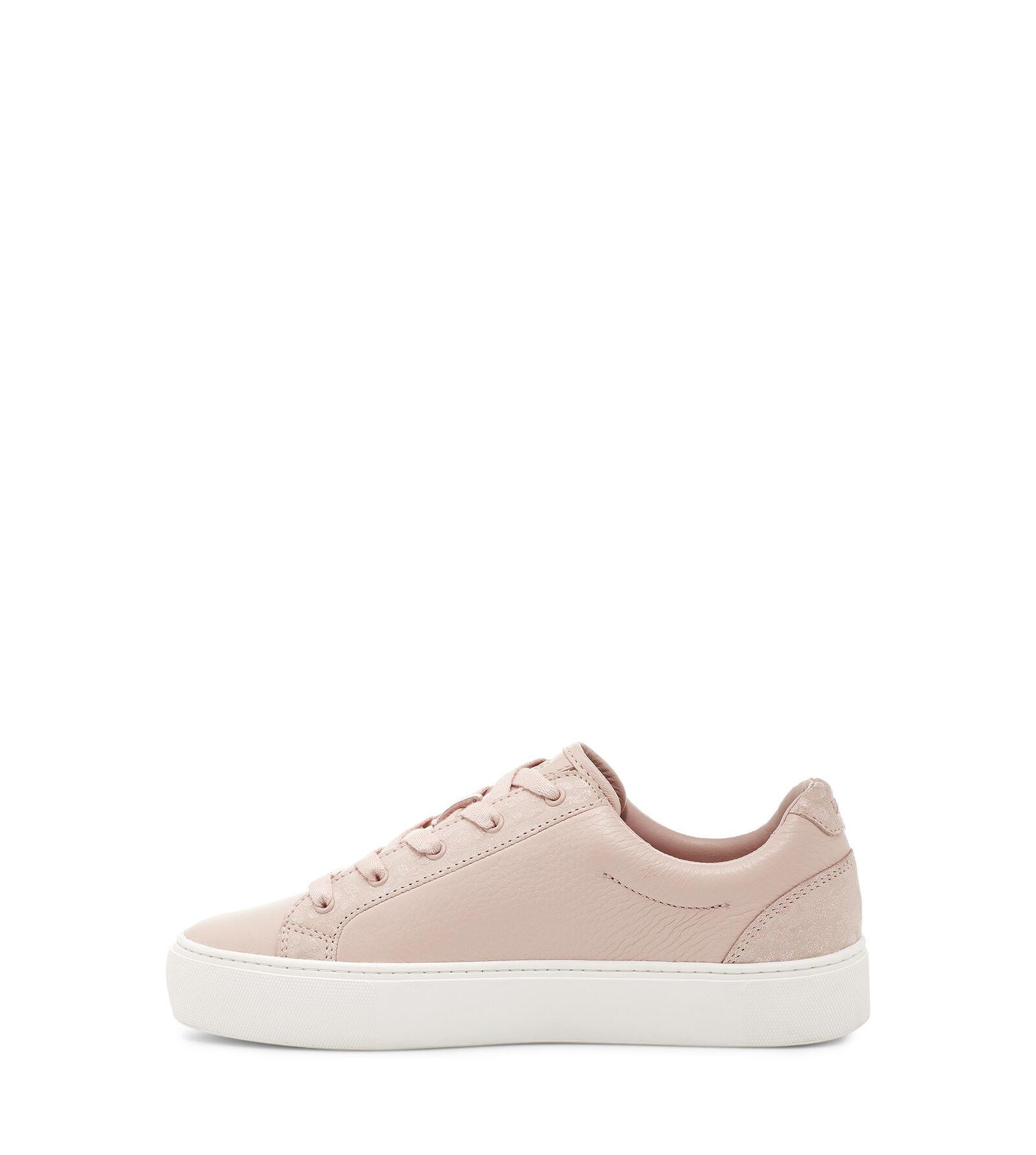 zilo snow leopard trainer