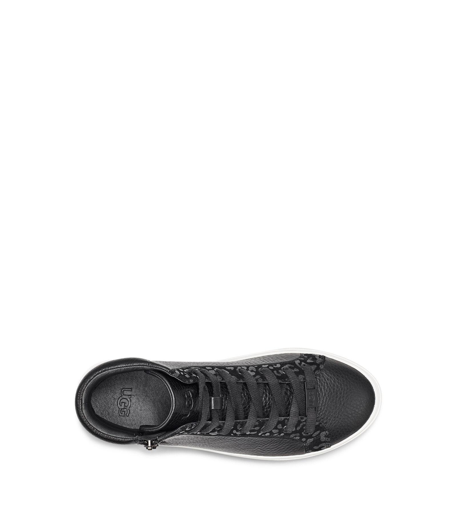 zilo snow leopard trainer