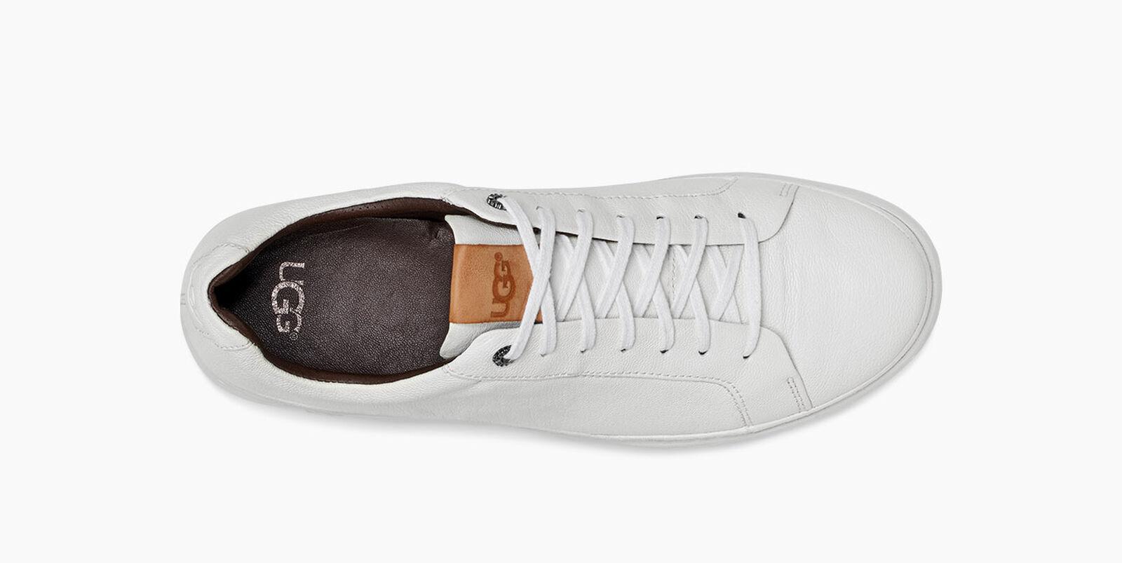 ugg cali low sneaker