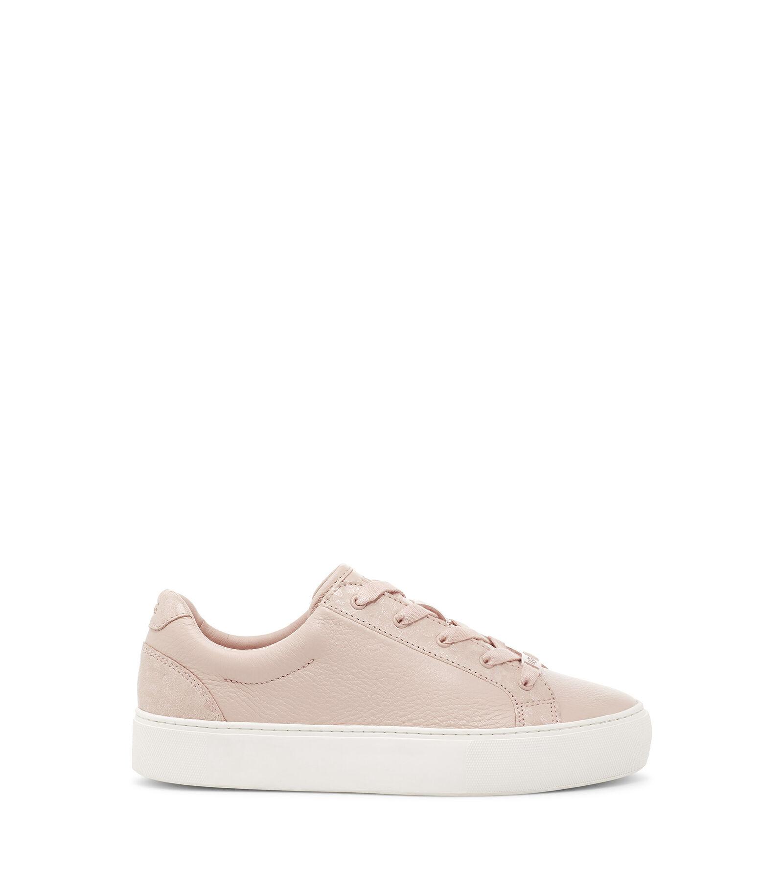 zilo snow leopard trainer