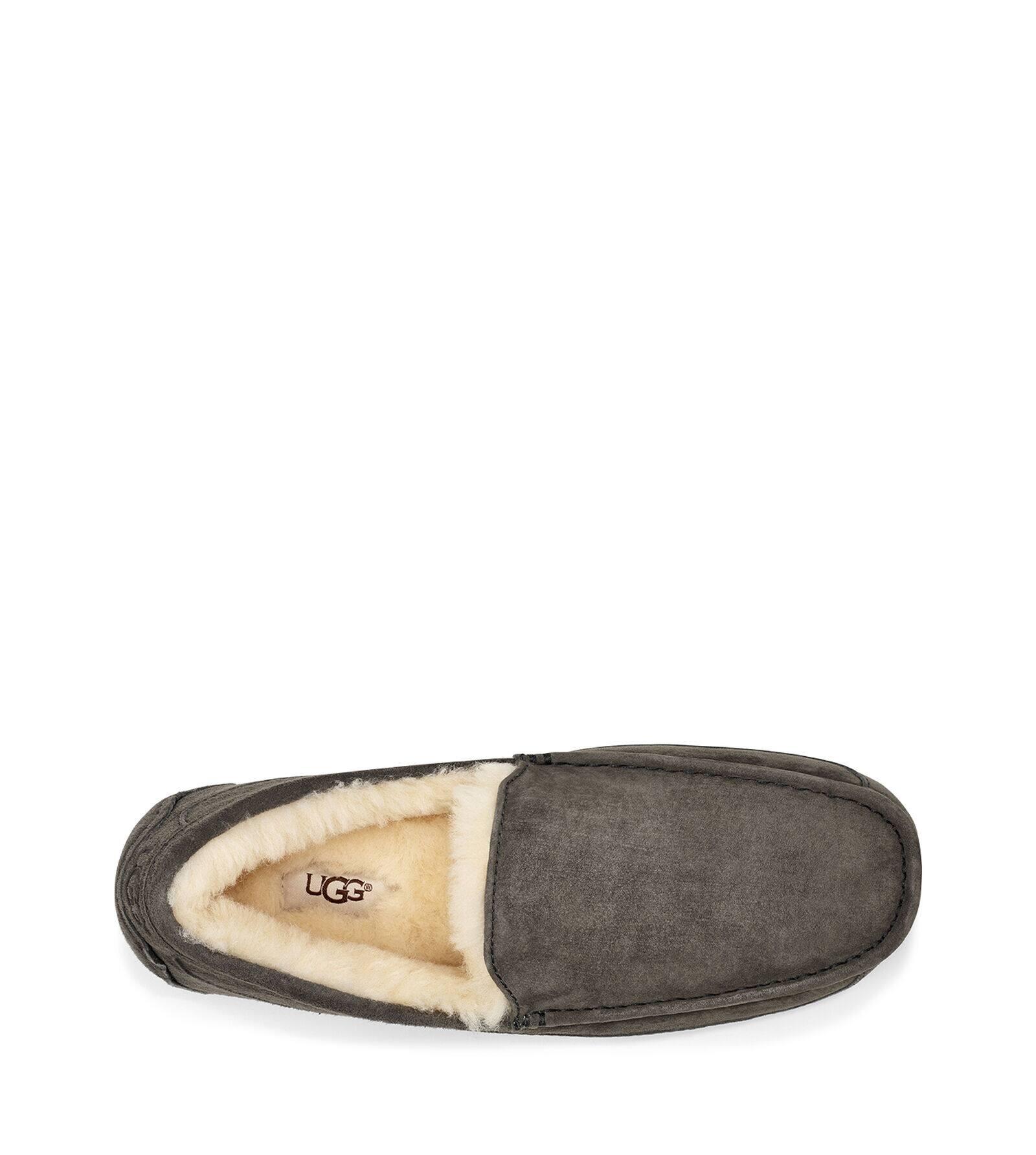 ascot suede slipper