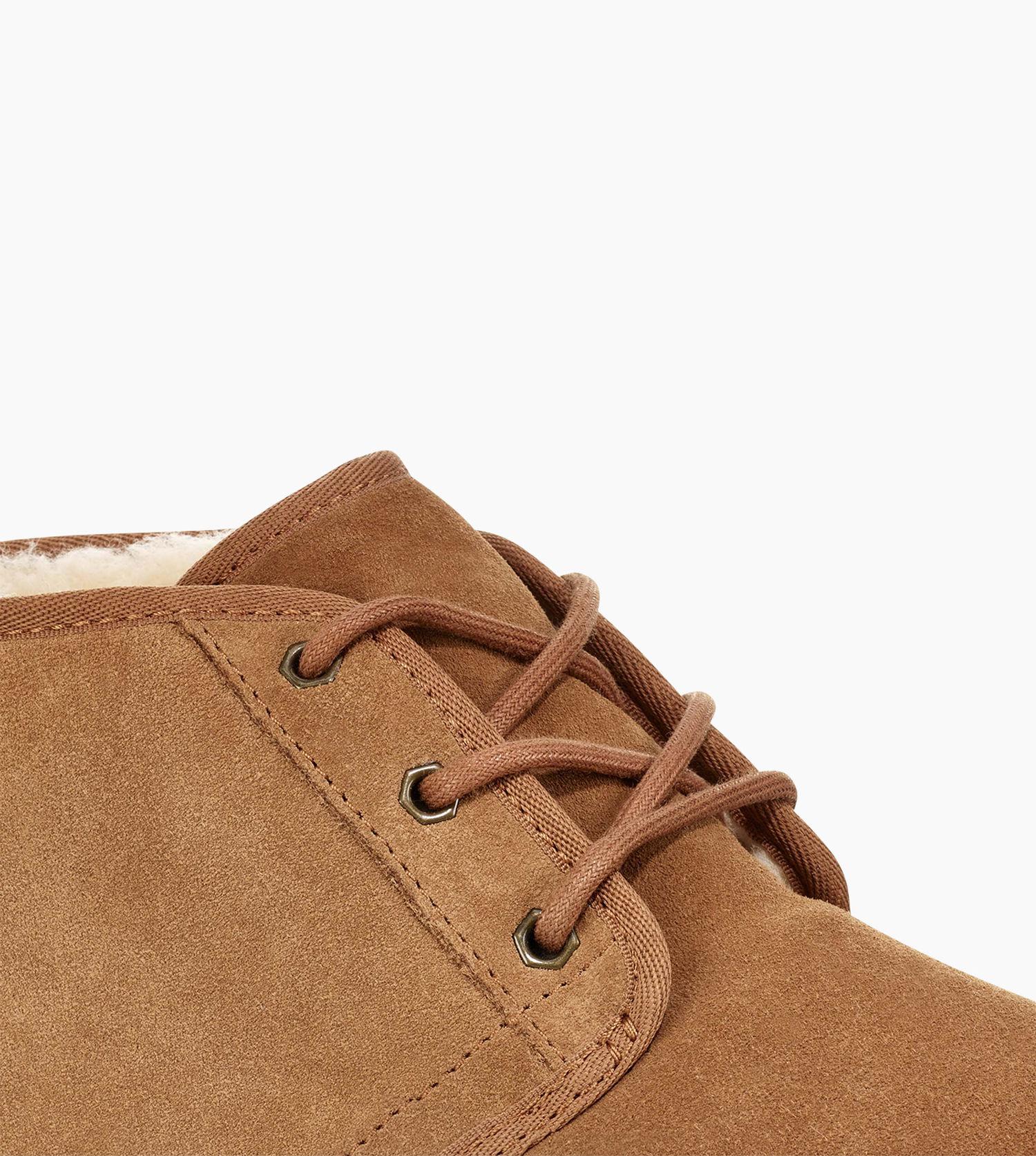 UGG Men's Replacement Lace in Chestnut (Brown) for Men - Lyst