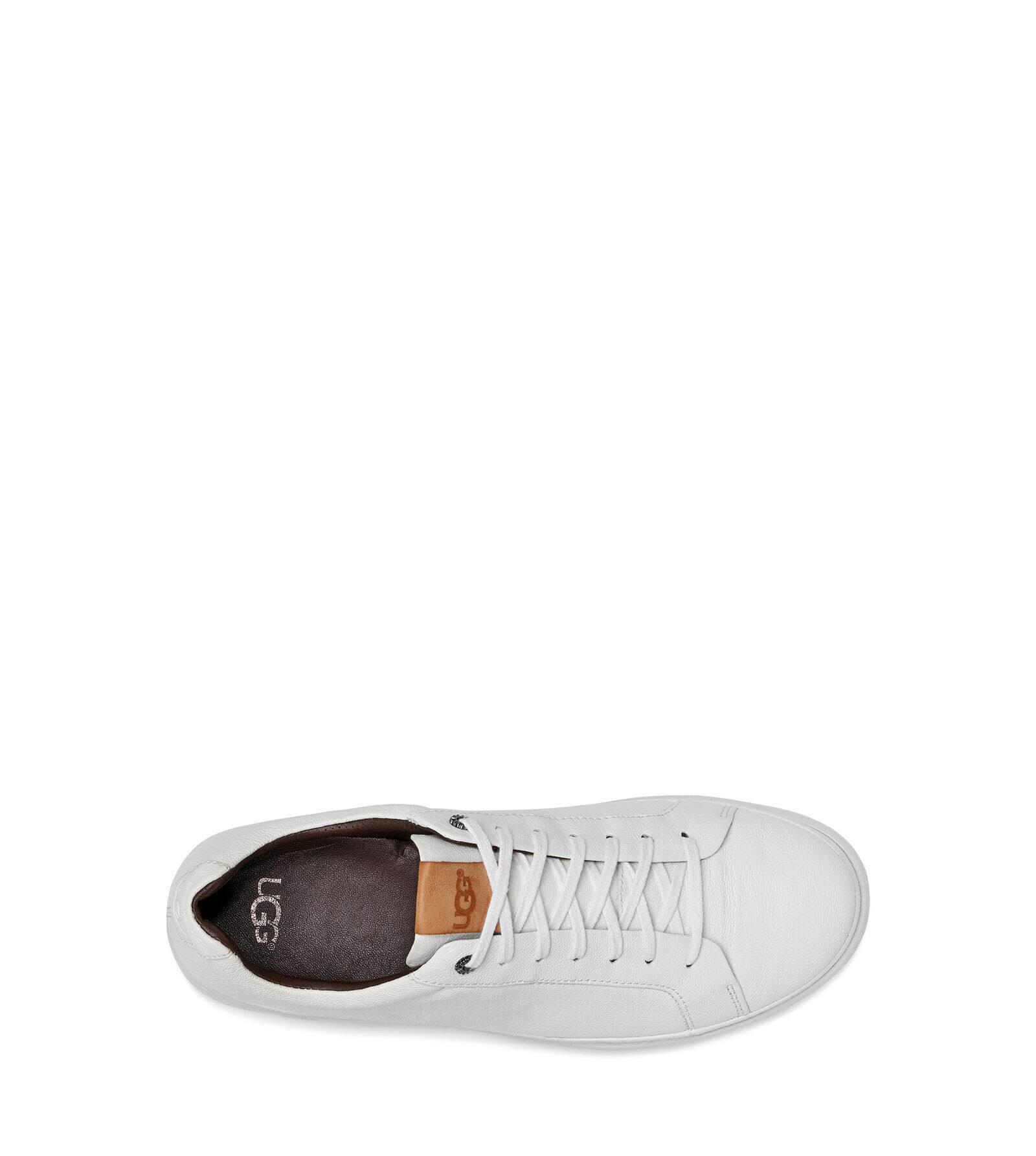 ugg cali low trainer