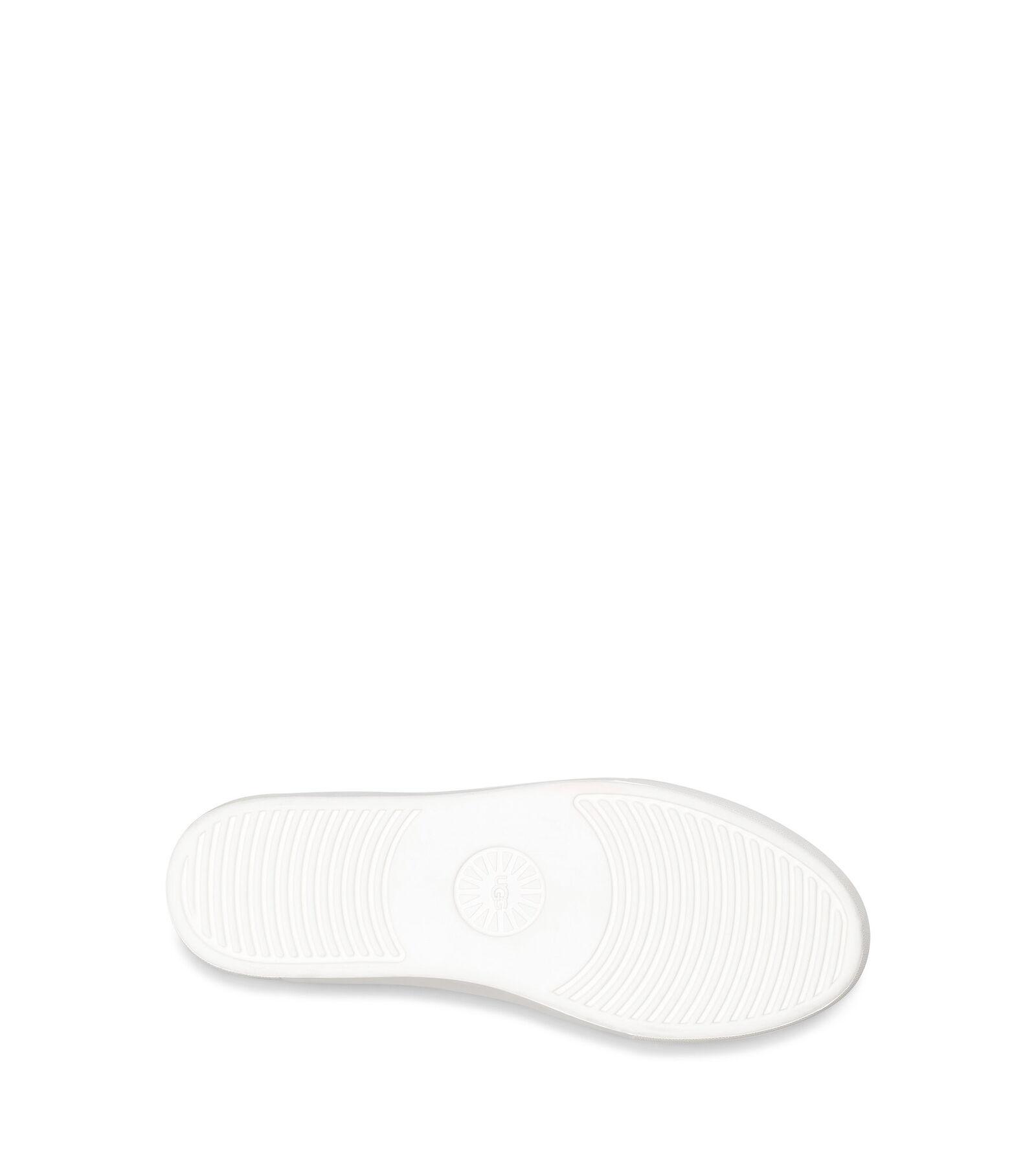 zilo snow leopard trainer