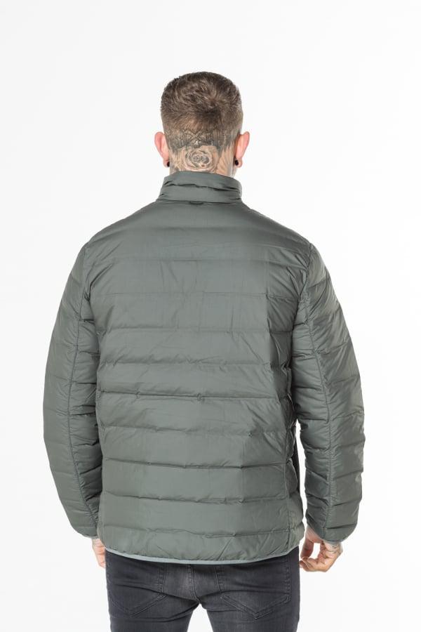 bear head timberland