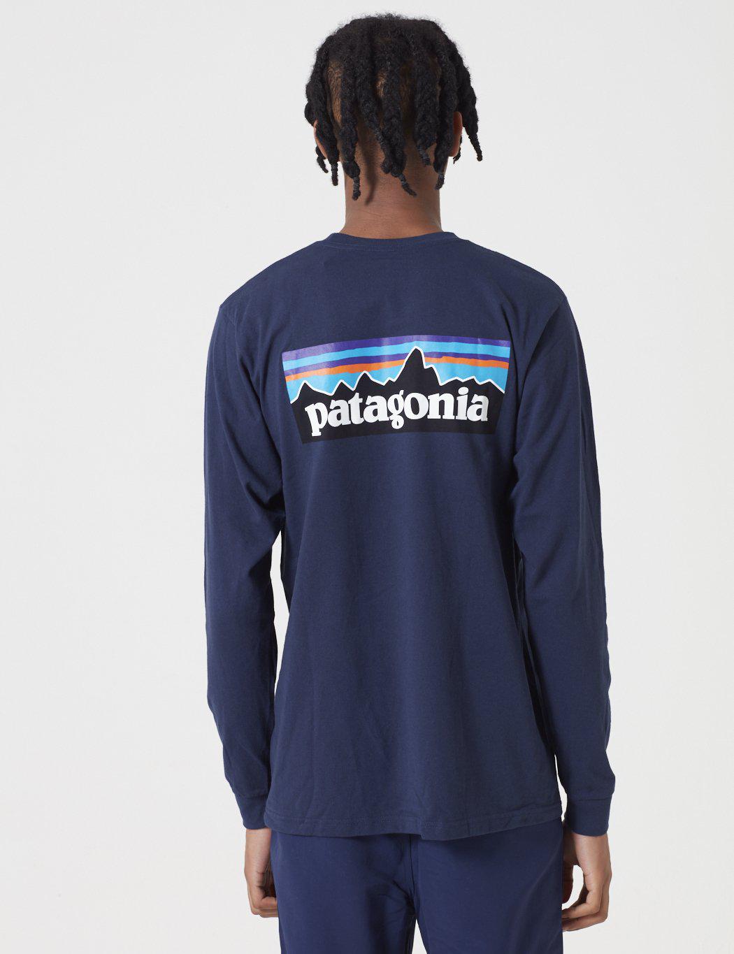 patagonia shirt