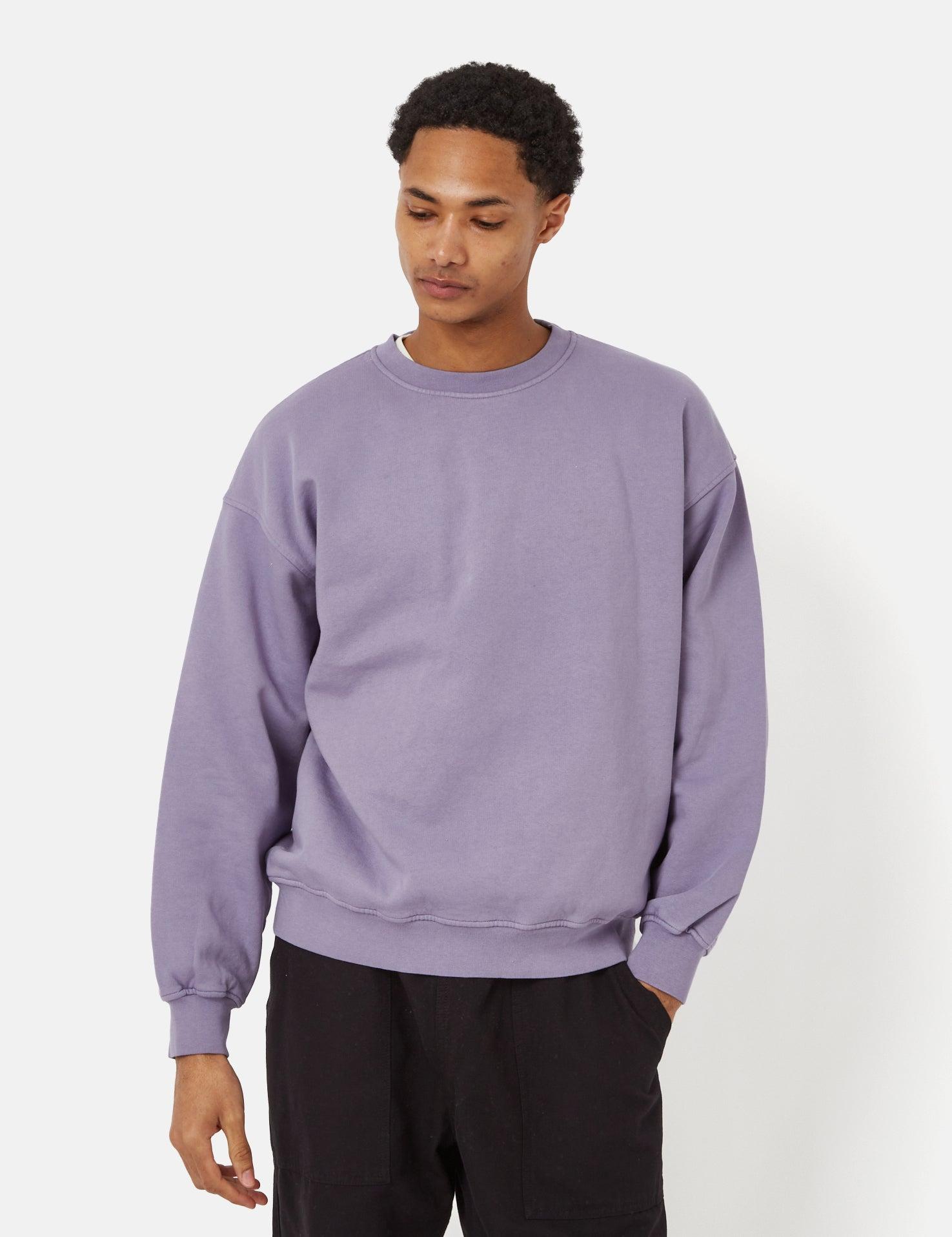 COLORFUL STANDARD Oversized Crew Sweatshirt (organic) in Purple for Men |  Lyst UK