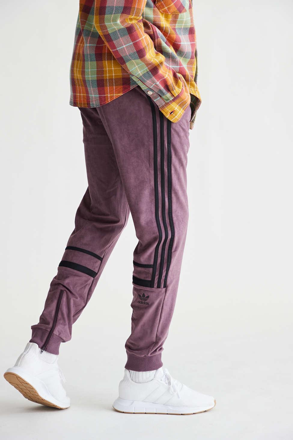 adidas Plush Cutline Track Pant in Purple for Men | Lyst