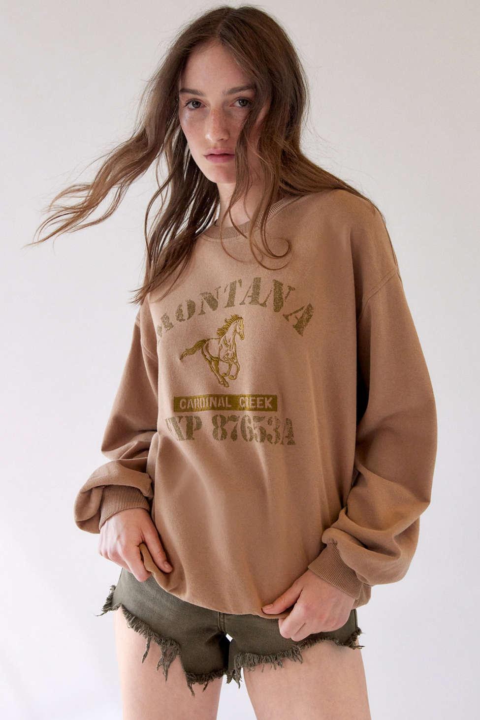 Urban Outfitters Montana Embroidered Pullover Sweatshirt in Brown | Lyst