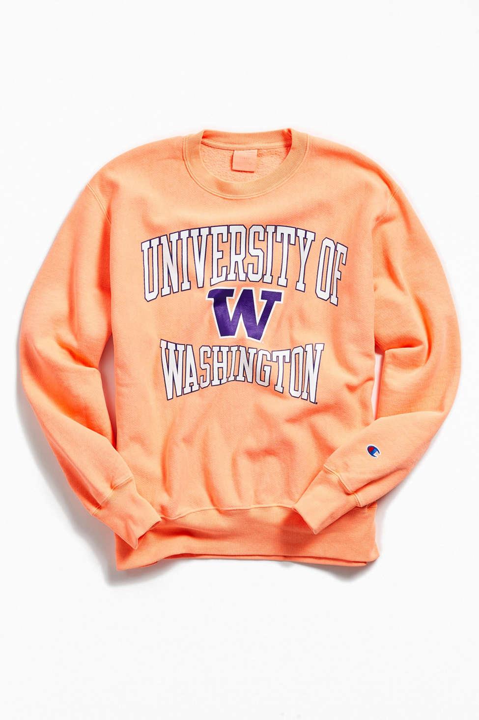 university of washington champion hoodie