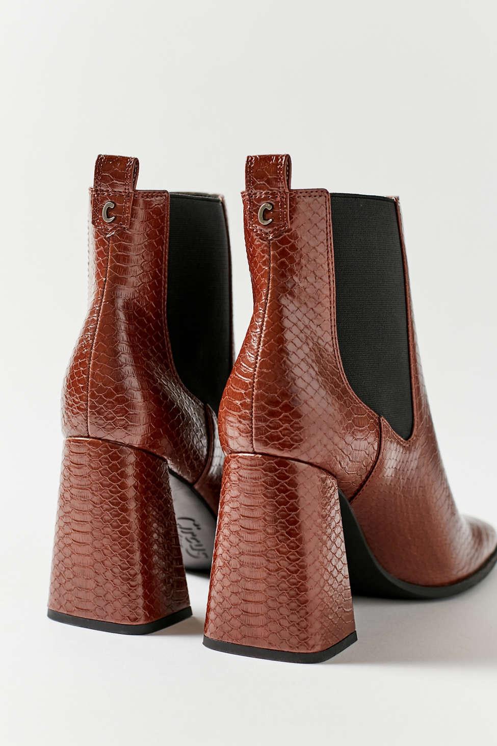 circus by sam edelman snakeskin booties