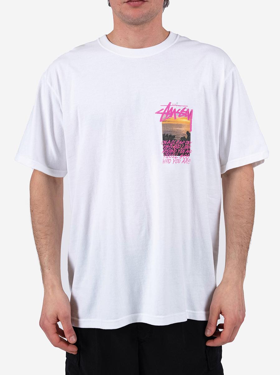 clear day tee stussy