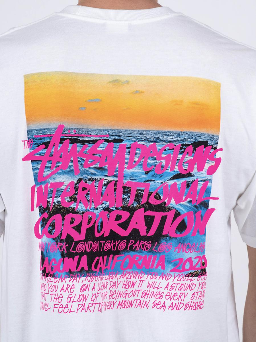 clear day tee stussy