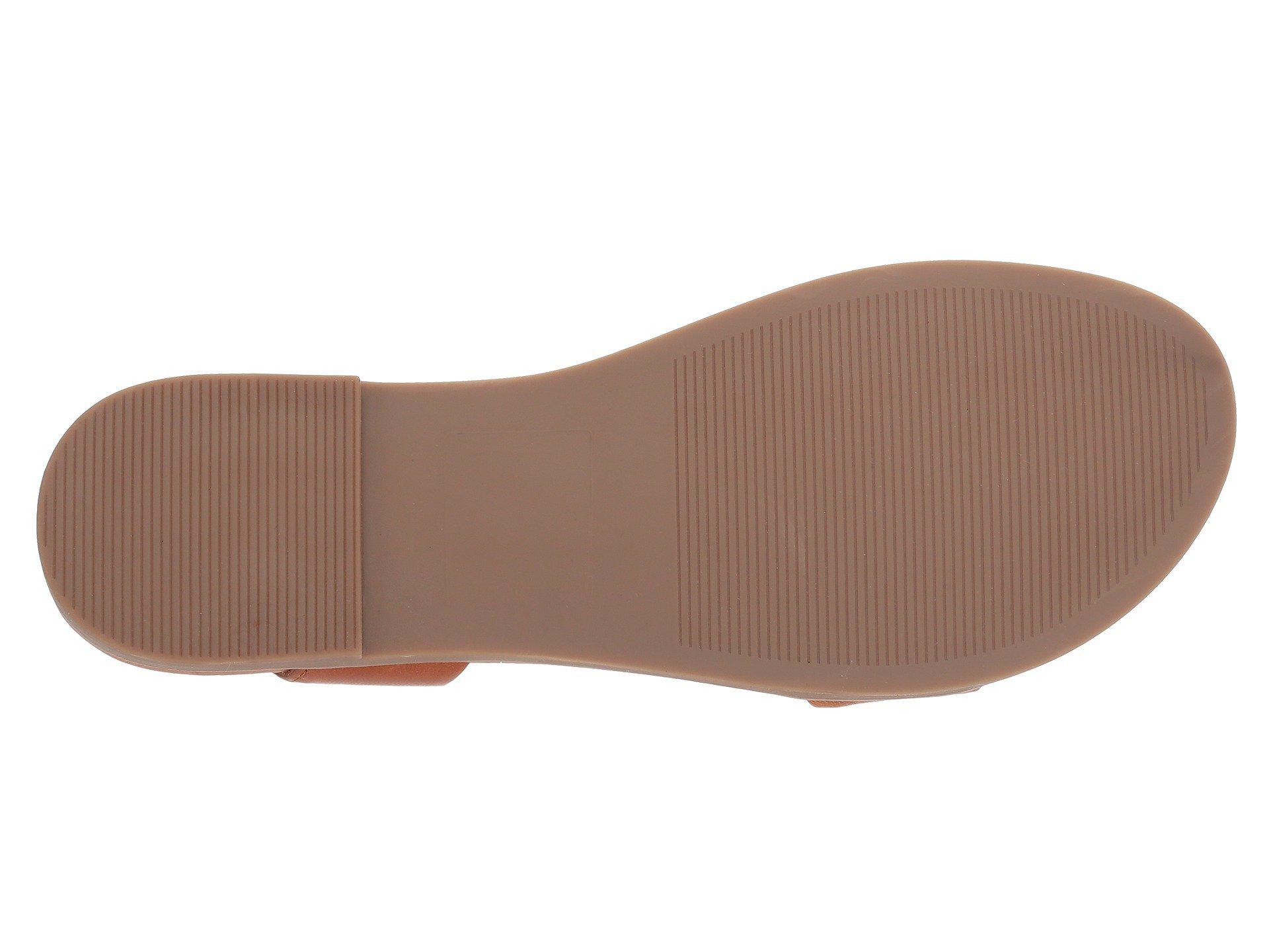 steve madden women's dina flat sandal