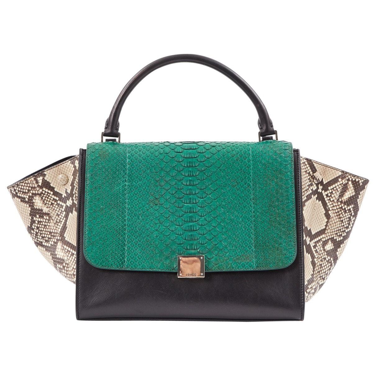 Céline Leather Trapèze Multicolour Python Handbag in Green - Lyst