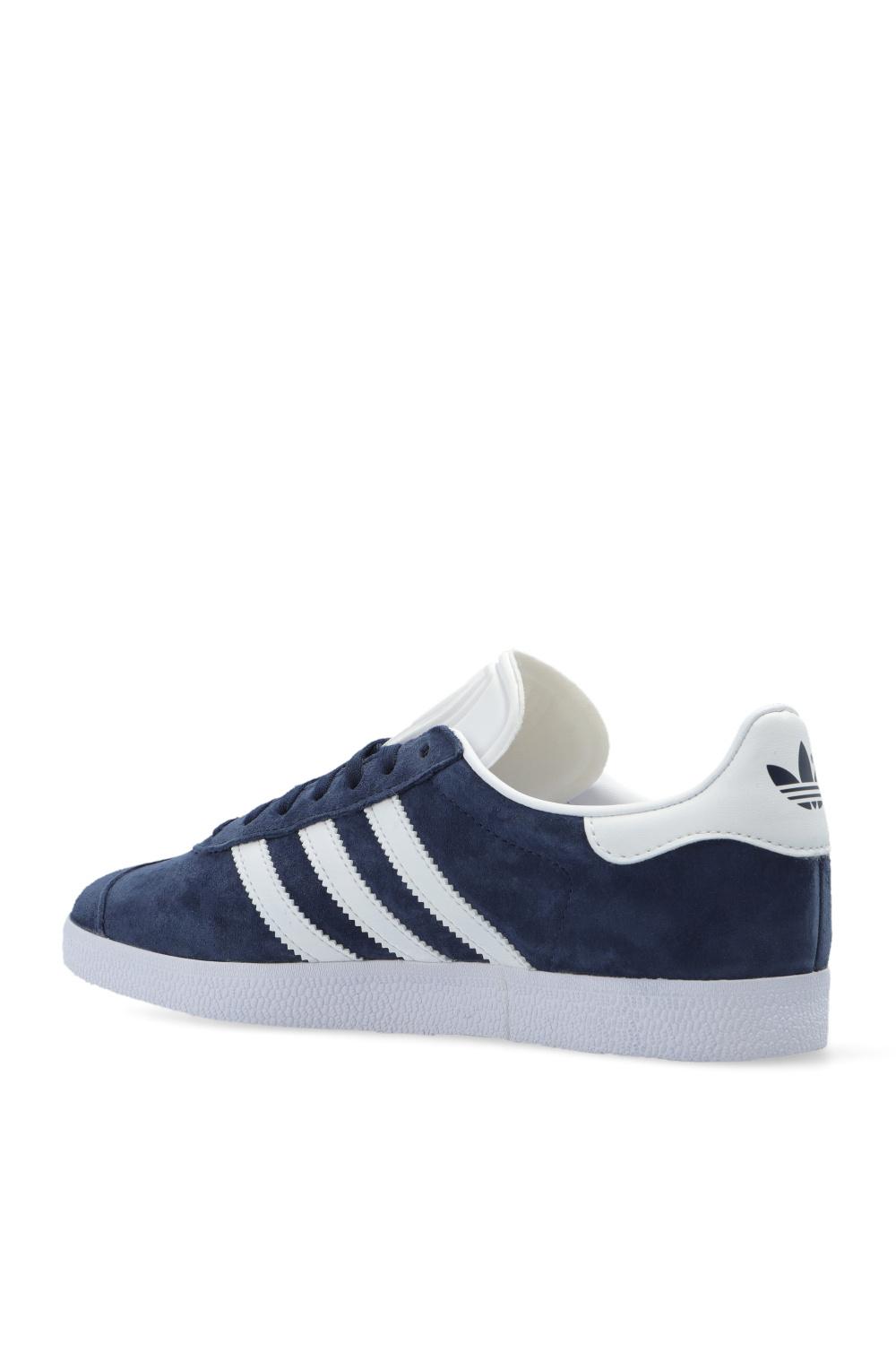 blue gazelles