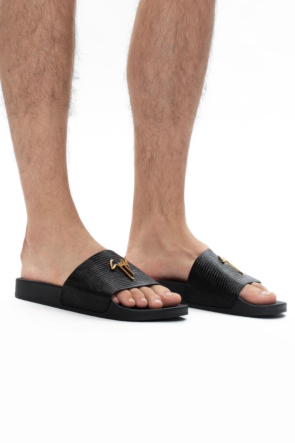 zanotti slides
