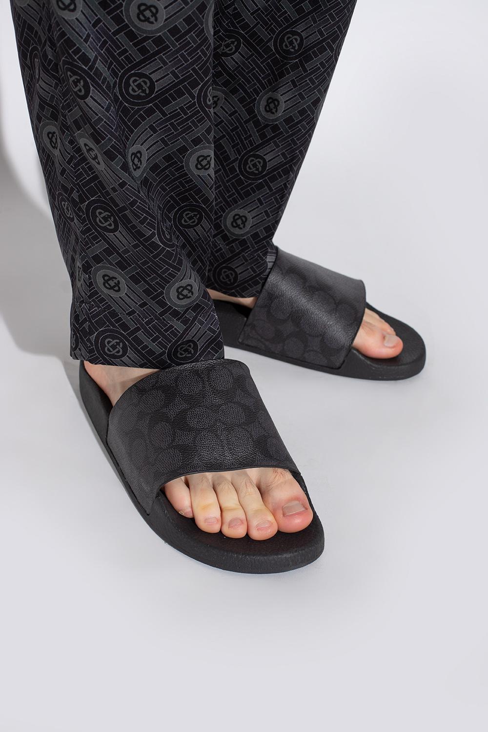 multicolor coach slides