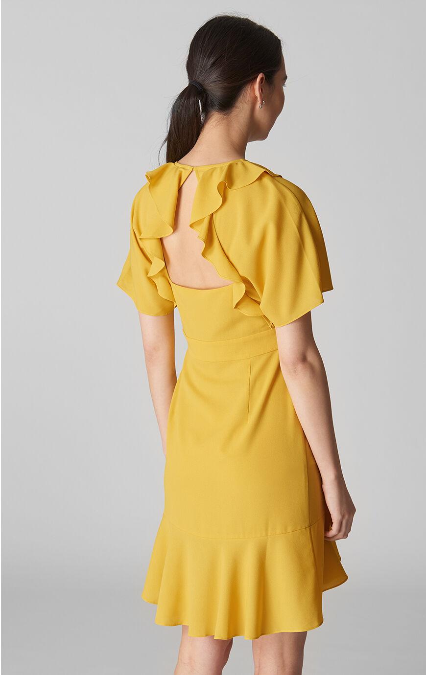 whistles abigail dress