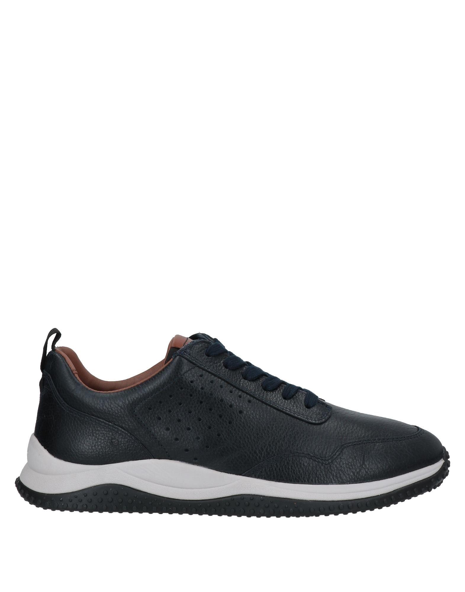 clarks trainers