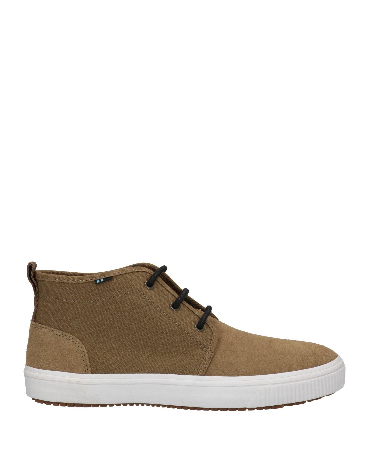 ebbe tidevand fest Forespørgsel TOMS Trainers in Brown for Men | Lyst