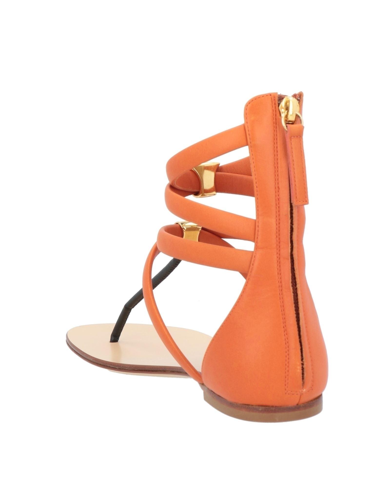 Vicini Toe Strap Sandals in Brown | Lyst