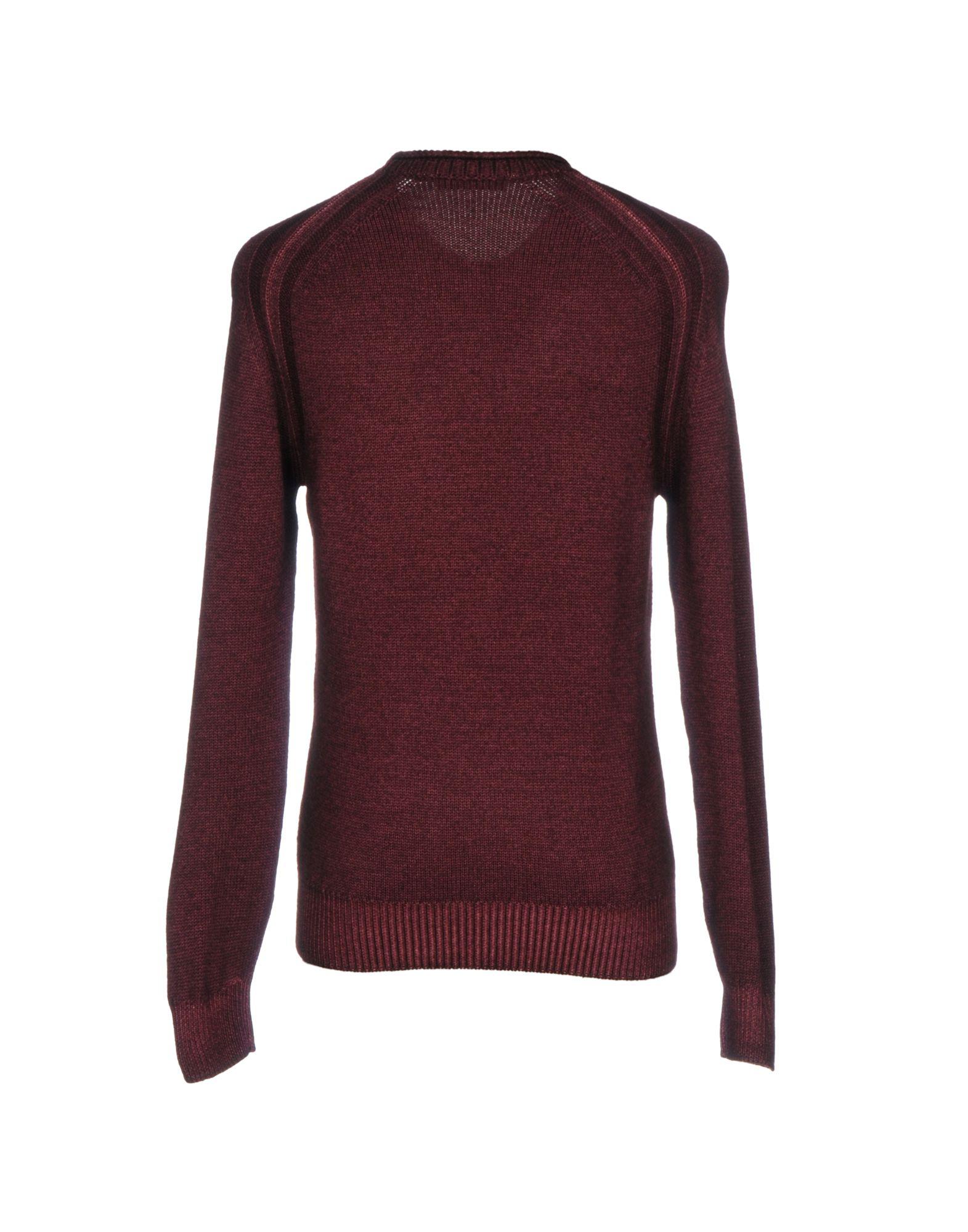 purple jumper for men