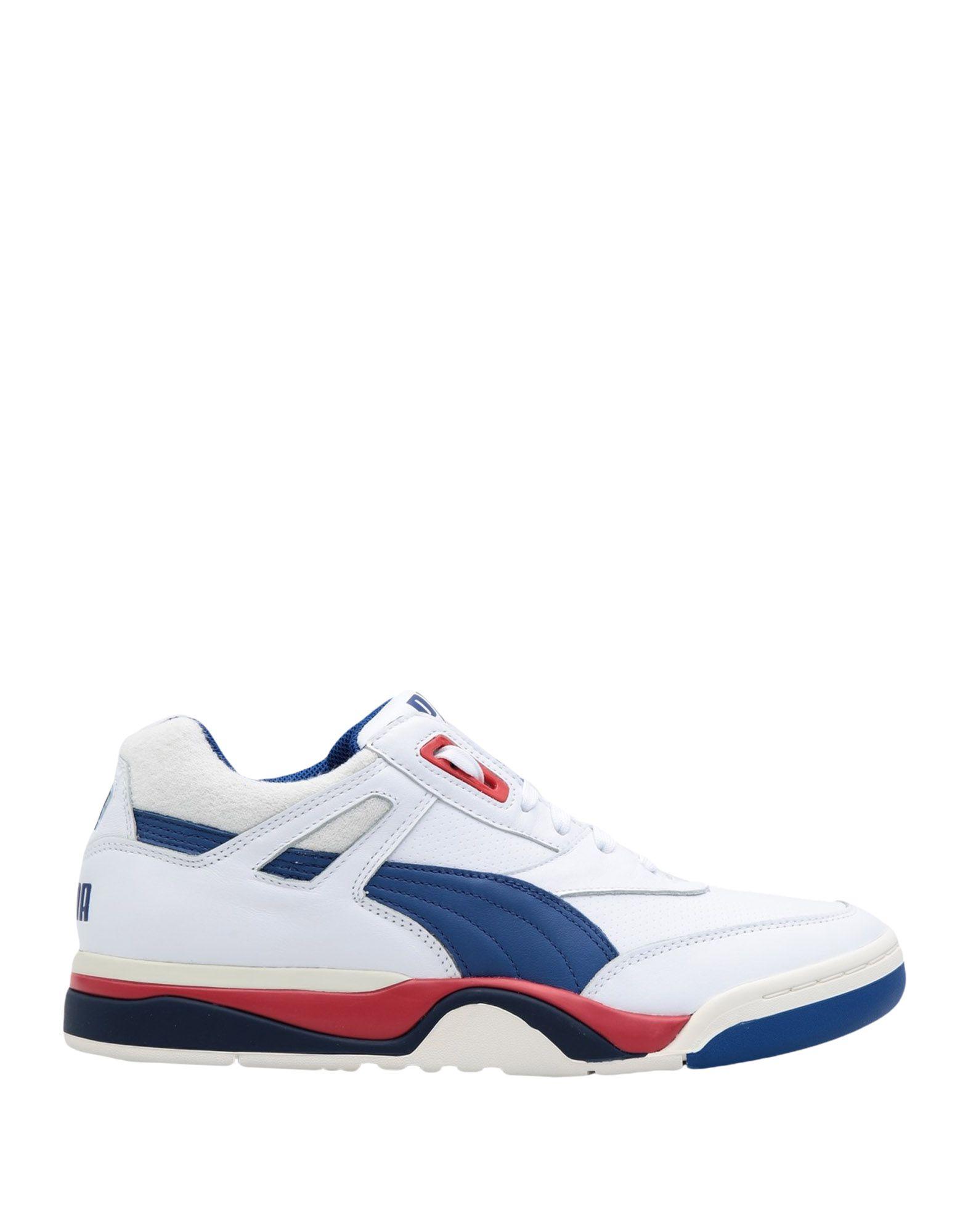 c116 low top sneaker