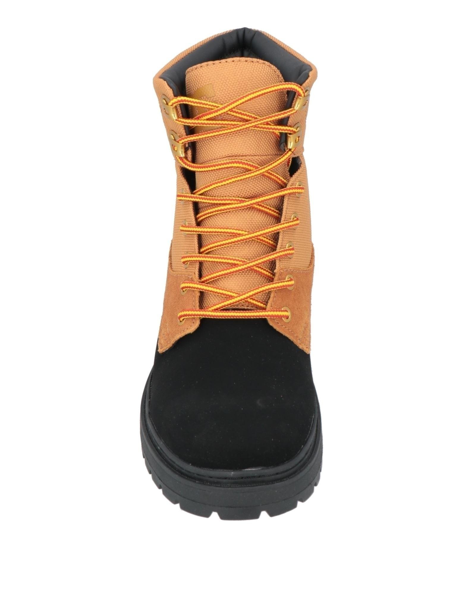 Dc ankle shoes 2025