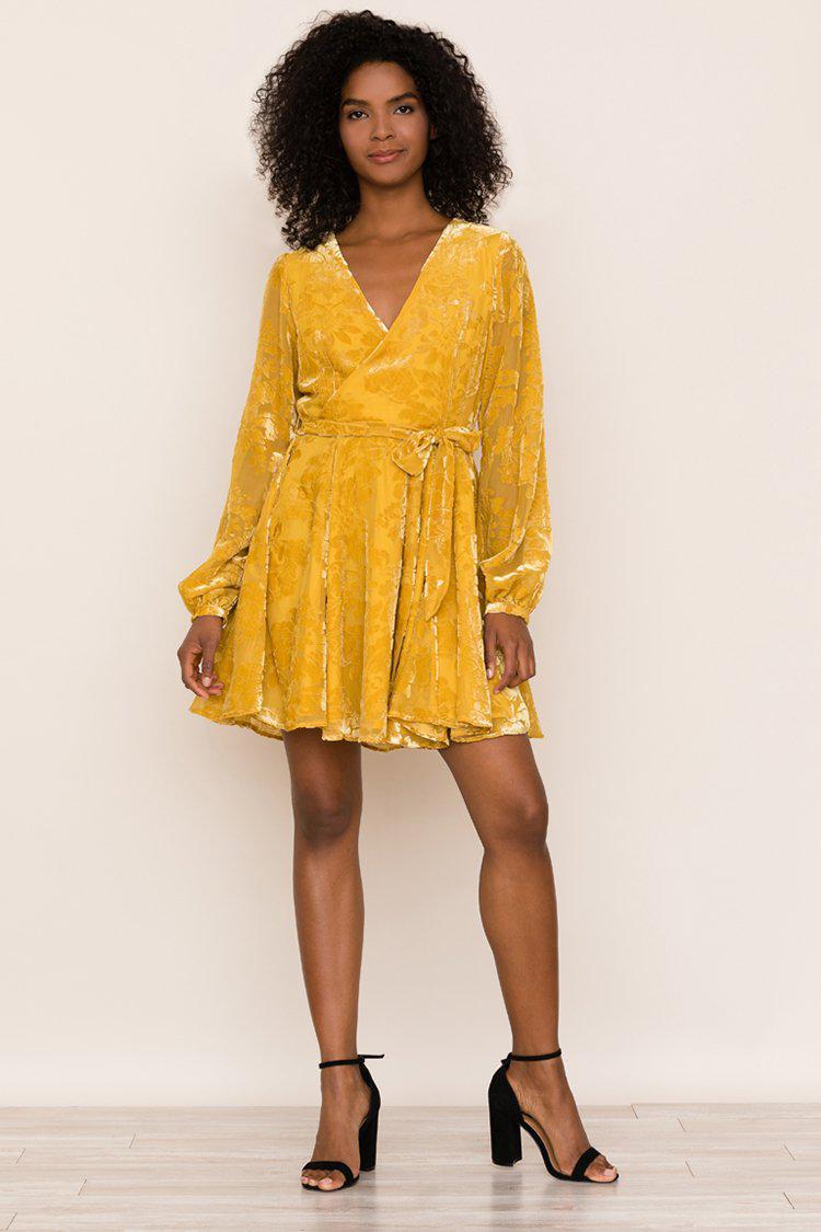 yumi kim royalty velvet dress