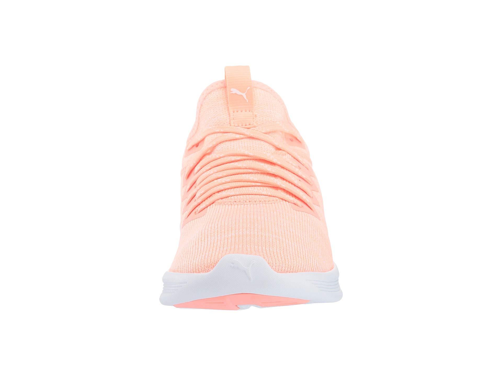 tenis puma ignite flash evoknit