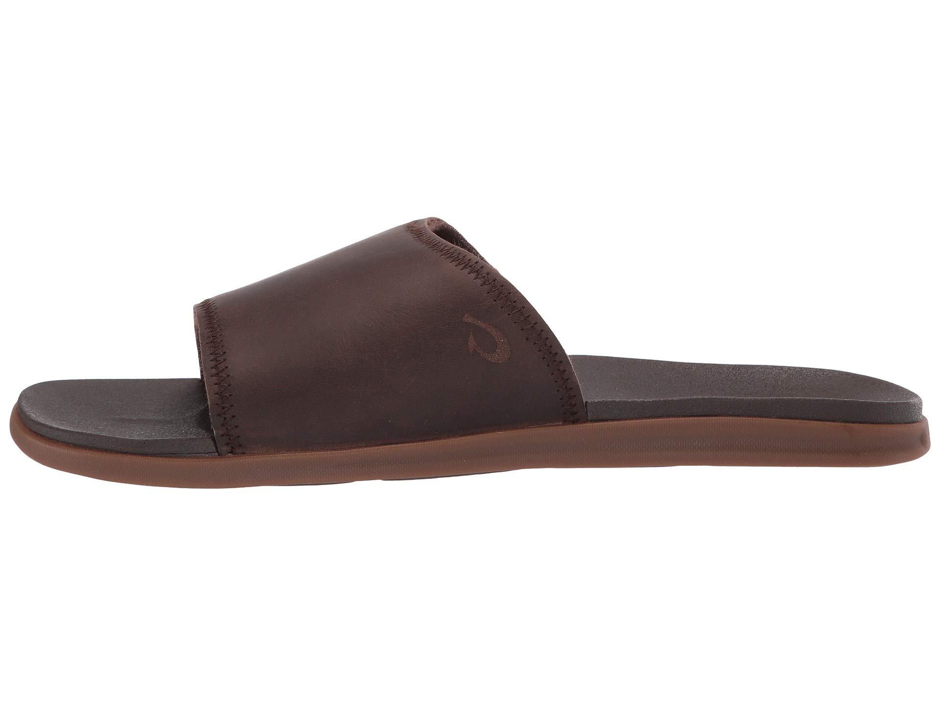 alania slide
