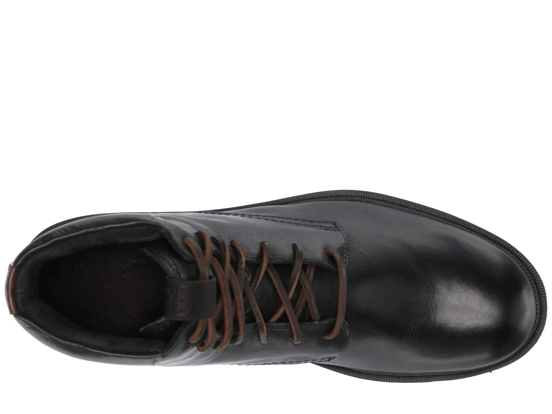 frye terra lace up